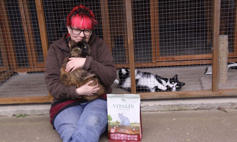 Vitalin donates supplies to Scunthorpe Cat Rescue