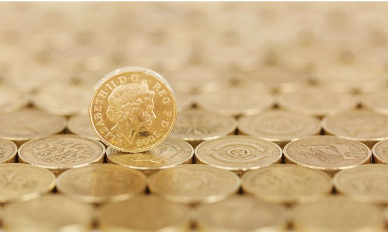 PetSavers offers research grants to vets