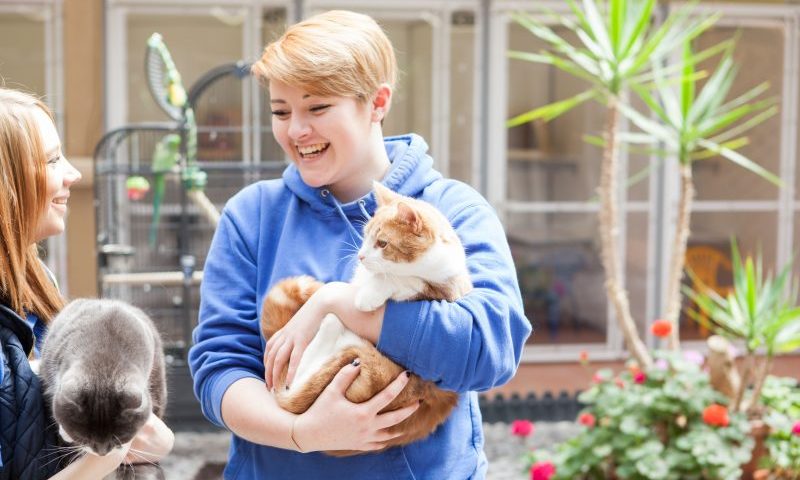 PIF announces insurance extension