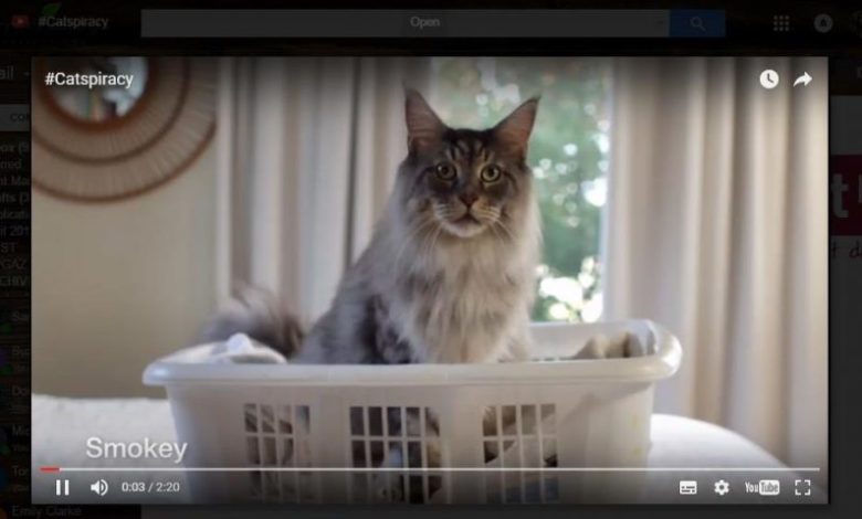 self-cleaning litter tray