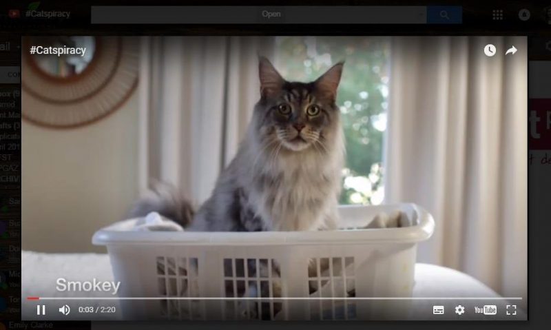 self-cleaning litter tray