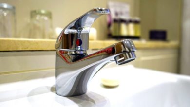 A third of UK owners never wash their pet
