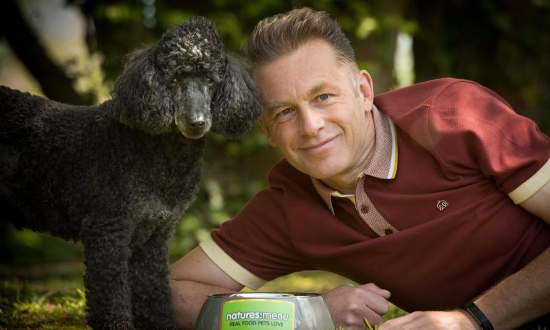 60 percent of dogs suffer from health problems