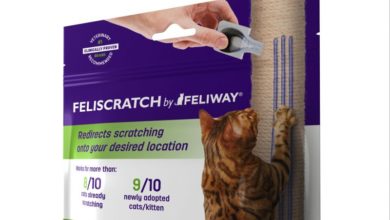 Ceva, FELIWAY