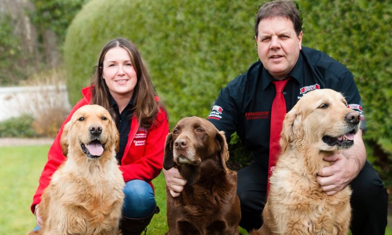 Ambassador dog food approved by Crufts winner