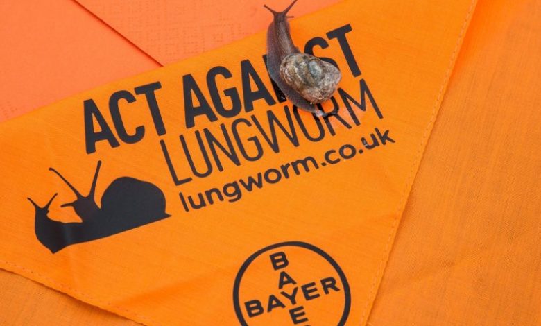 Bayer, Lungworm, Snails