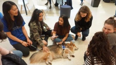 Charity helps students with exam stress