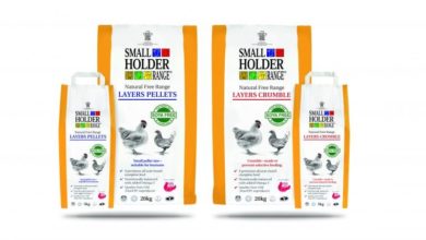 Non-GM soya free layers feed launched