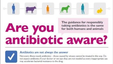 BVA initiative shortlisted for Antibiotic Guardian Award