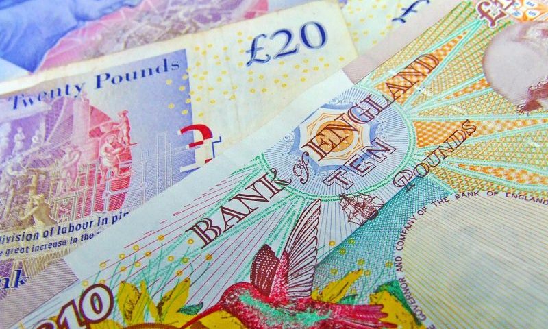 Just for Pets expect profits to continue falling