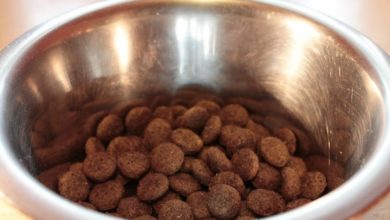 ‘Pet parents’ drive global food market