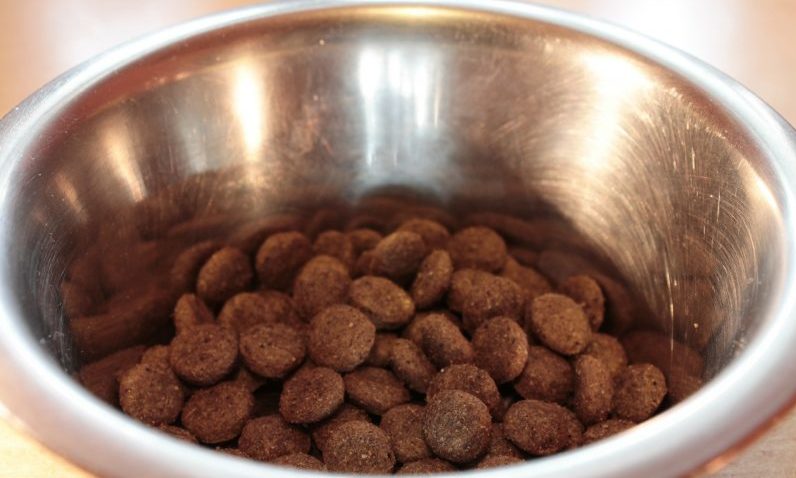 ‘Pet parents’ drive global food market