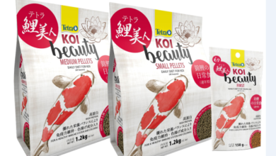 Koi, Tetra, aquatics