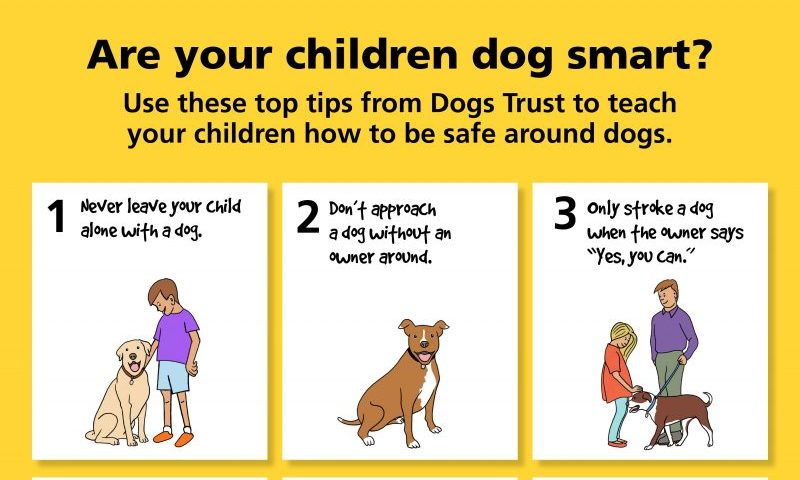 Four children admitted to hospital for dog bites everyday