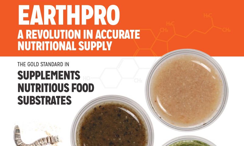 Arcadia, pets, reptiles