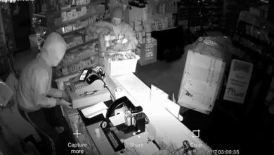 Charity boxes stolen from pet shop