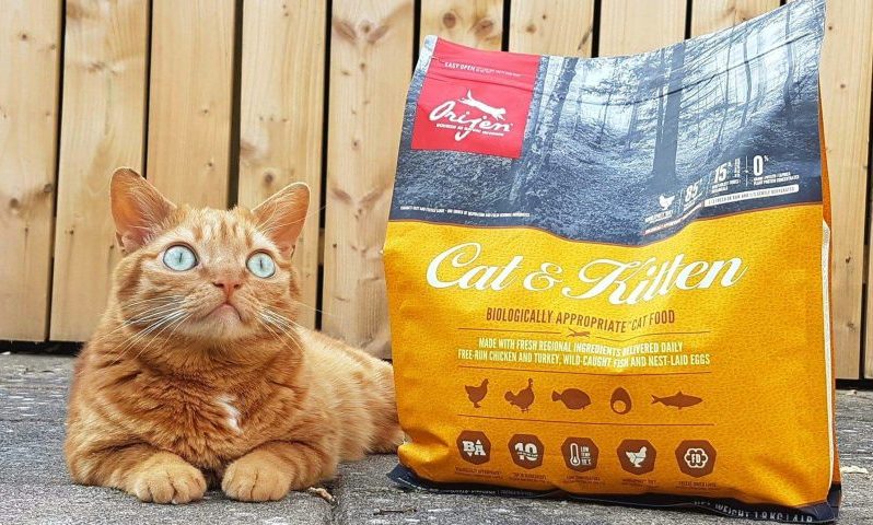 Buggy Supercat becomes an ambassador