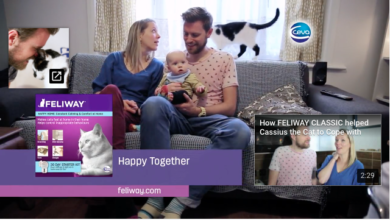 FELIWAY® runs TV advertising and digital campaign