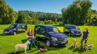 Dog walkers lead the way with new vans