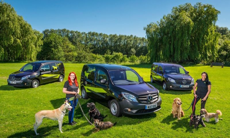 Dog walkers lead the way with new vans