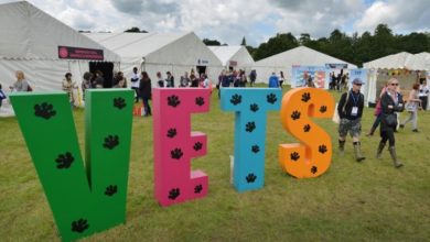 VET Fest celebrates a record year