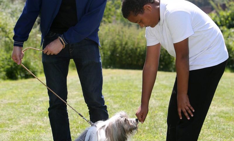 Parents advised to keep ‘children safe around dogs’