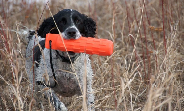 gundogs. skinners