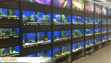 Aquaja to attend Aqua Telford 2017
