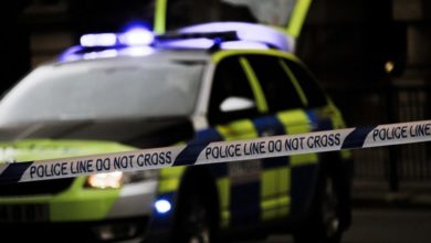Pet shop repeatedly targeted by thieves