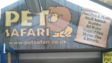 Animals perish in pet shop blaze