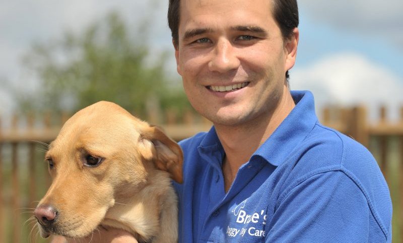 Bruce’s Doggy Daycare losses narrow as it hits £10m turnover mark