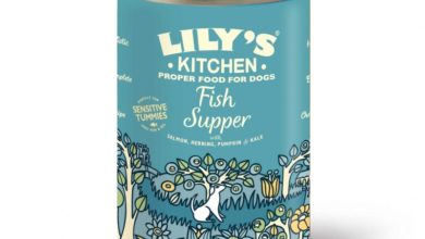 Lilys kitchen, dogs