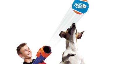 Nerf Dog