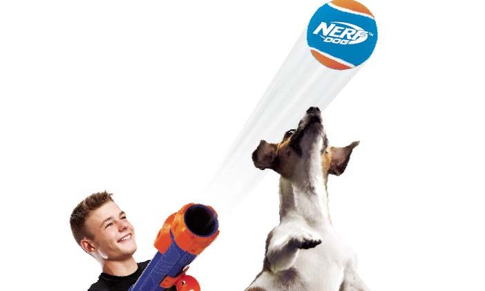 Nerf Dog