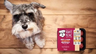 New raw food format for smaller dogs launched