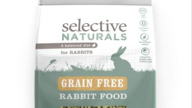 Supreme, Grain-free, pet food