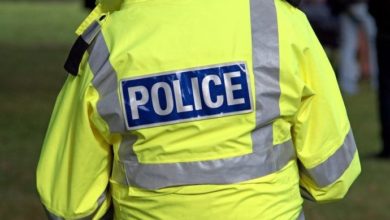4 Paws centre closed following police raid