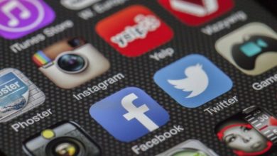 Instagram boosts sales of pet products