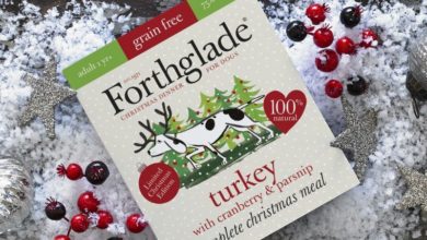 Limited edition Christmas treat launched