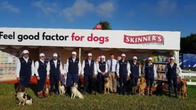 Skinner’s celebrates show success