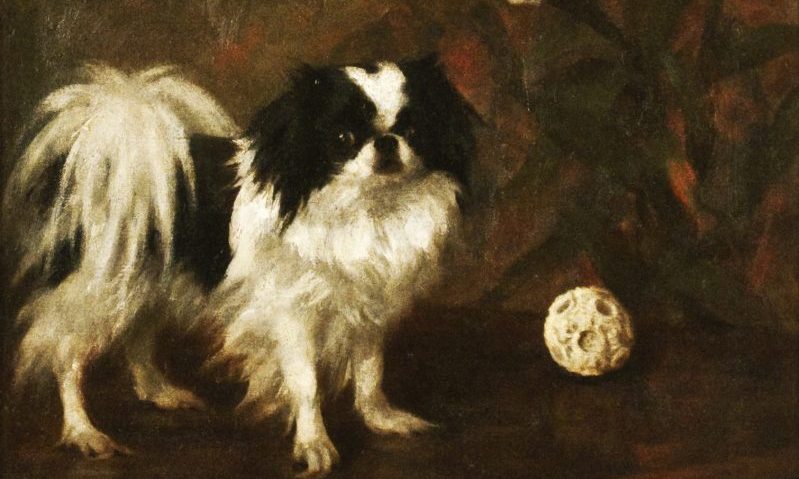 Kennel Club opens new exhibition about East Asian dogs
