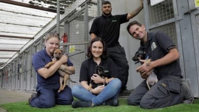 Rescue centre benefits from LazyLawn®