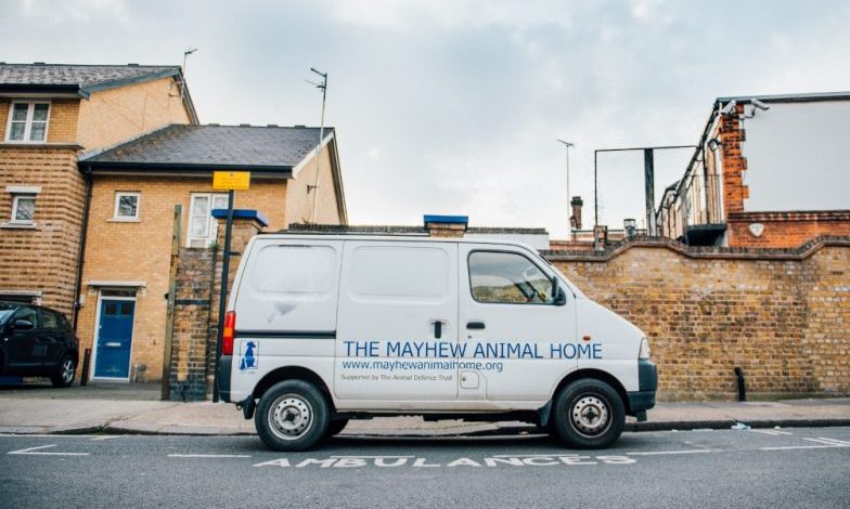 Charity appeal to replace stolen animal ambulance