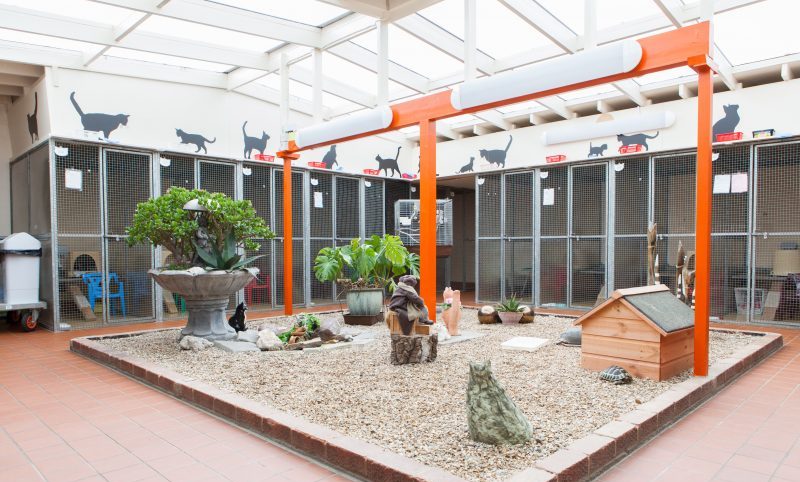 PIF launches extension of insurance