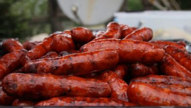 Pets set their sights on bank holiday BBQ food