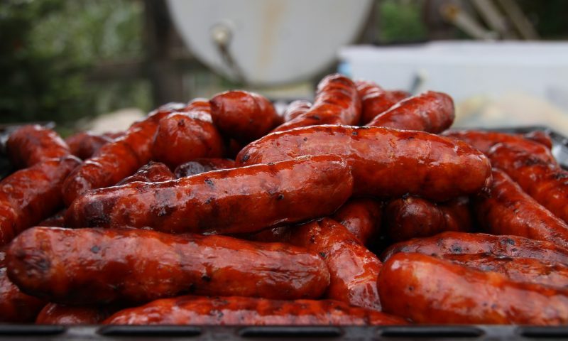 Pets set their sights on bank holiday BBQ food