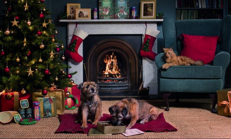 Lily’s Kitchen unveils Christmas range