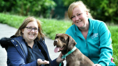 Charity course saves puppy’s life
