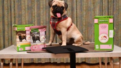 Natures Menu celebrates Puppy Awareness Week