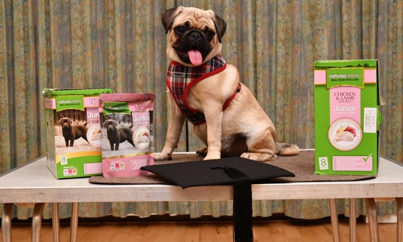 Natures Menu celebrates Puppy Awareness Week